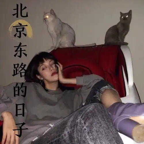 表白之前麝月虞姬虞姬高音质在线试听表白之前歌词歌曲下载酷狗音乐