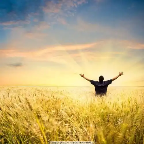 六大心神我们的那些欲望