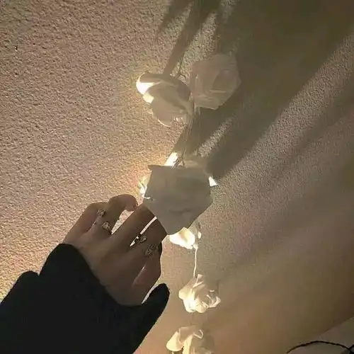 简短的话语只是述说自己一些小经历而已