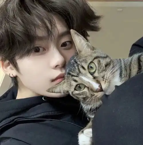 五月到了,该换个情头了