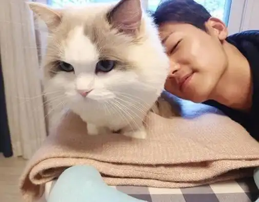 女不养狗,男不养猫,为何产生蕴含着什么道理呢