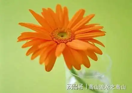 婚姻中,男人做3件事中的任何一件,女人都会幸福