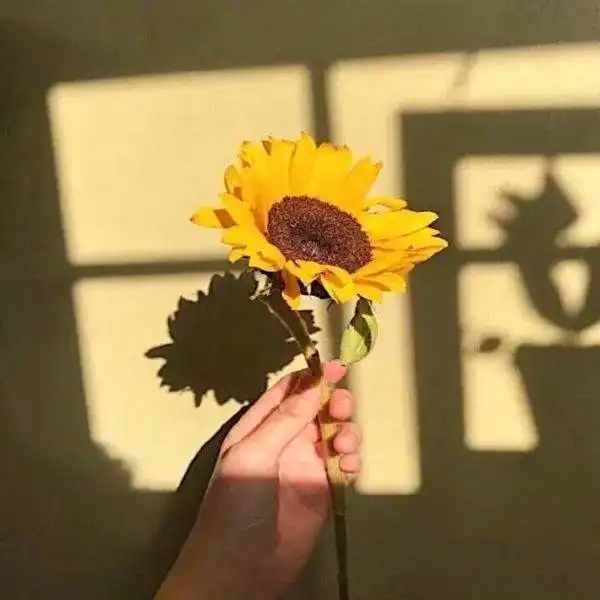 秋天壁纸秋日温柔请签收