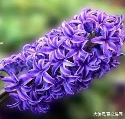 刀子嘴豆腐心的3个生肖女,对老公是嘴上嫌弃心里爱,旺夫旺家宅