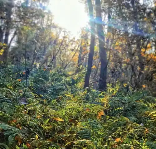 安徽这里的冬景,是原生态的画卷,很多人或许已经去过