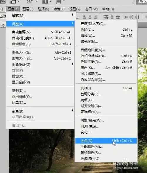 ps阳光穿过树林洒下的效果