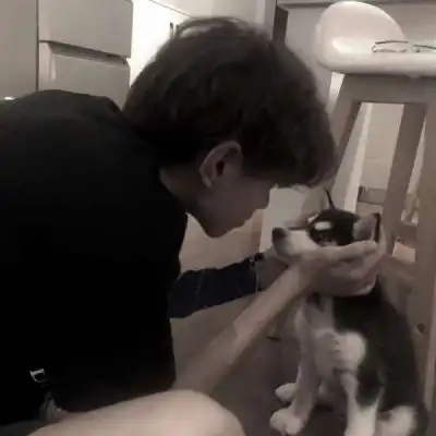 小鹿真人高冷男头怀揣希望去努男生头像我要个性网