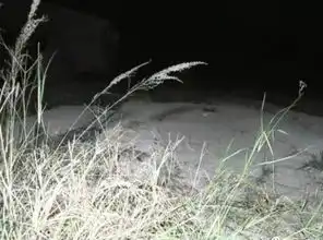 丧心病狂男子持刀疯砍6岁女孩身亡