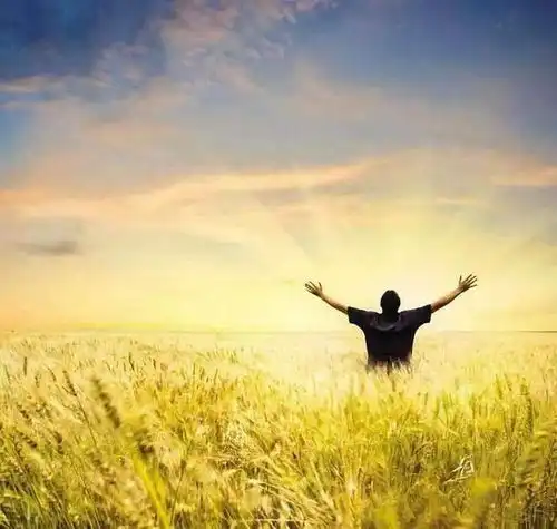 山河月明这个让皇帝称赞太子遗憾的女人,究竟有多厉害