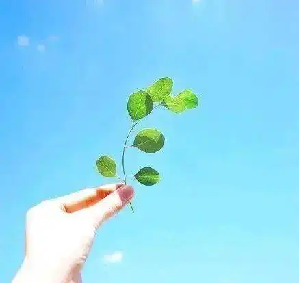 催人奋进的朋友圈说说,阳光励志,很有气质