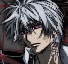 谁有吸血鬼骑士的锥生零头像