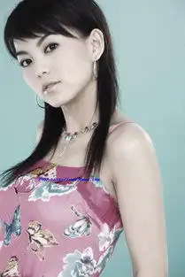 李湘教授17日到川师发奖学金兑现受聘时的承诺