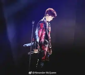 tfboys王源亮相五周年演唱会2019年春夏男装系列演绎摇滚风格