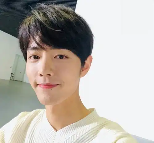 肖战为何能够向阳而生,身上的坚韧气质令人敬佩,难怪能涅槃而生