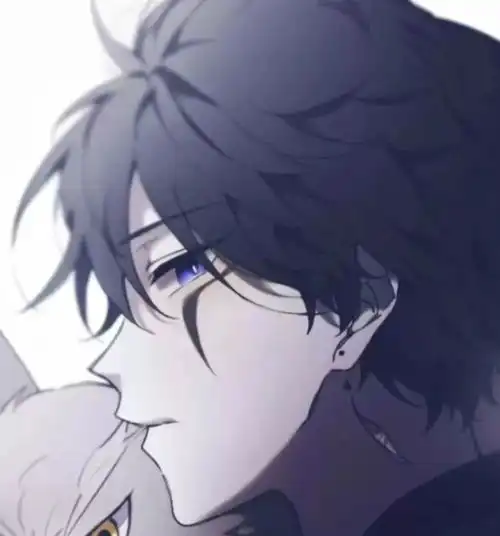 推文简评全职医生这本哨向文小爱与大爱兼顾,架空热血情怀