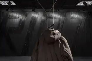 40㎡基辅暗黑酷感男装店akzarchitectura