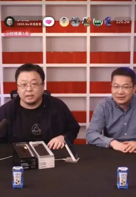 每个没能成为马云雷军的人,最后都成了他