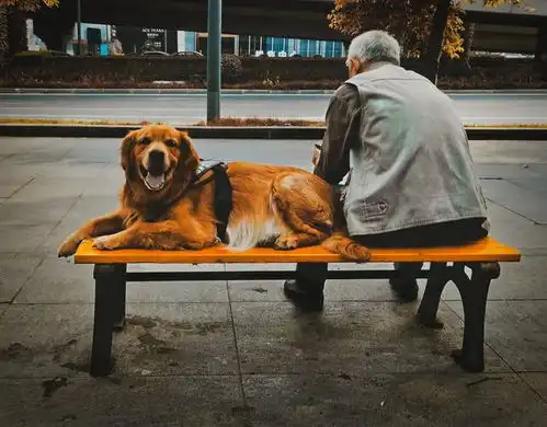 喜欢养狗的人,往往是这4种人