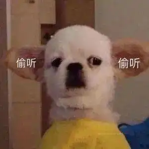 他们这是准备公开了
