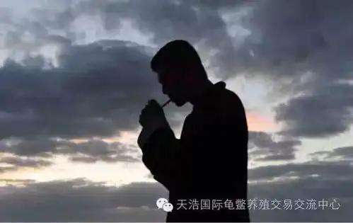 在养龟行业中的100个有没有,你撞上了几个