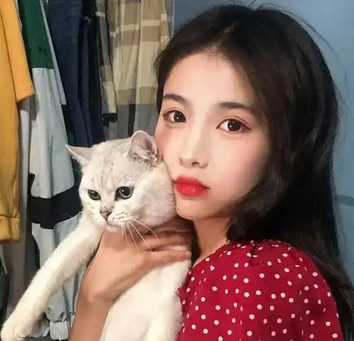 婆婆,你早晚家破人亡儿媳离婚时的话,小三半年就帮她应验了