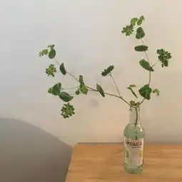 简单唯美小清新风景头像2018最新别隐身了我早把你删了