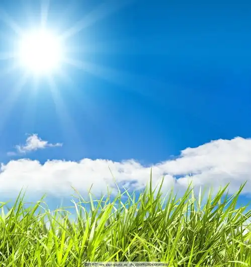 用心交流换位思考完美沟通打造美好生活