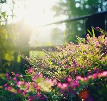 人到中年,还在炫耀这些的人,很难有出息