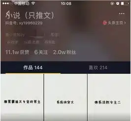 如何利用抖音推广小说项目