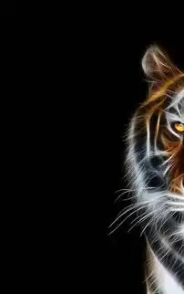 霸气老虎酷图壁纸