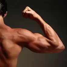 喝绿茶吃牛肉让男人聪明强壮养生保健知识网易保健品