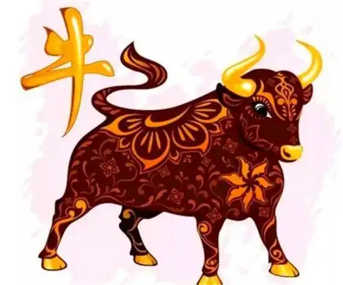 属牛的男人有什么样的性格