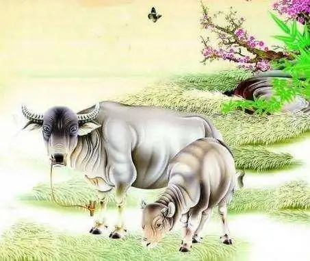 这三大生肖,未来3年事业大旺,财气环绕,富贵加身工作