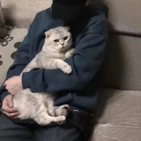 酷帅气男生头像,酷帅气冷漠个性真人男头