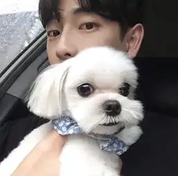 二呆辞男生头像韩中男头chenci