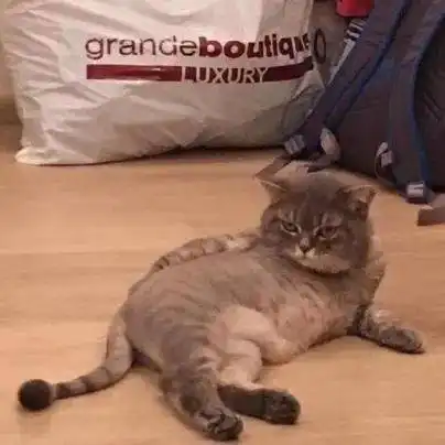 秋风十里,不如远方有你团委办公室