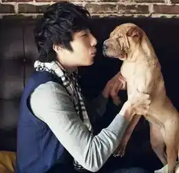 人不如宠物系列你想变成哪个爱豆的宠物