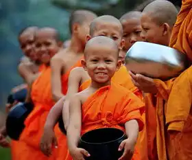 短期出家走红源于当代人心理压力太大