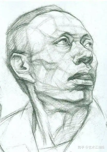 素描头像结构,体块,肌肉,头骨
