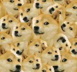 1个国庆5种度假方式这是不是放假中的你