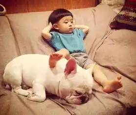 路上遇到狗狗,你会让孩子接触它吗