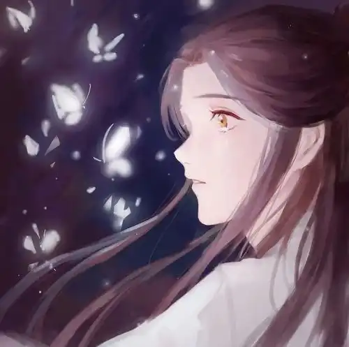 我喜欢这个少年的银蝶