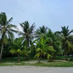 2020椰梦长廊门票,三亚椰梦长廊游玩攻略,椰梦长廊游览攻略路线地址门票价格