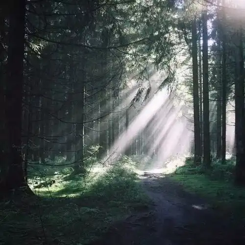 一种年龄,一种快乐