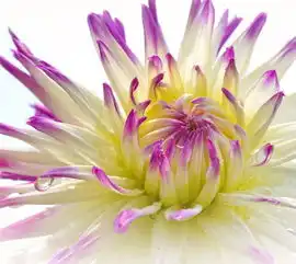 五月,如花,如歌,如诗,如画