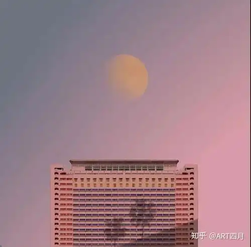 我们问前辈丨学硕研究生毕业后都在做什么
