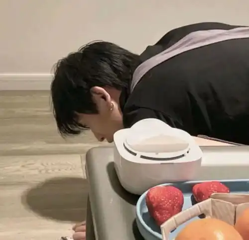 适合春天发的文案句子