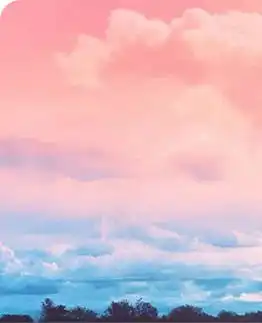 你长成我的模样我退回我的荒凉