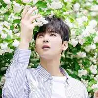 清新头像男生森系文艺范微信头像图片大全