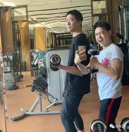 中年男人爱健身,大部分画风清奇潘粤明撸铁苏有朋练瑜伽